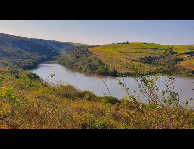 FARM FOR SALE IN MANDENI